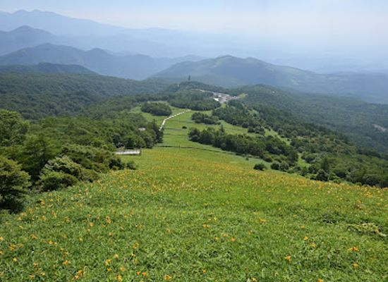 japan/nikko/landmark/nikko-kirifuri-kogen-kisuge-plains