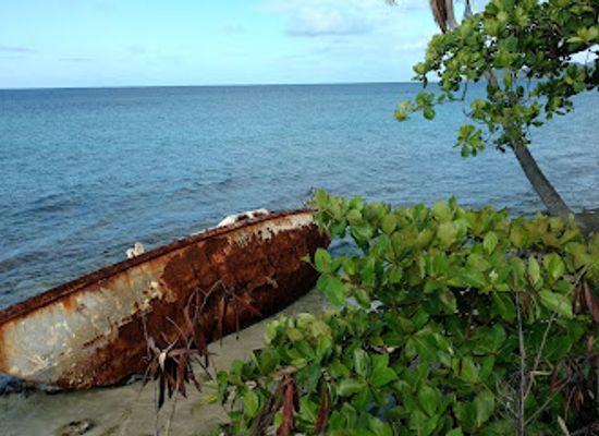 puerto-rico/vieques-island/landmark/fun-brothers-rentals-bio-bay-vieques
