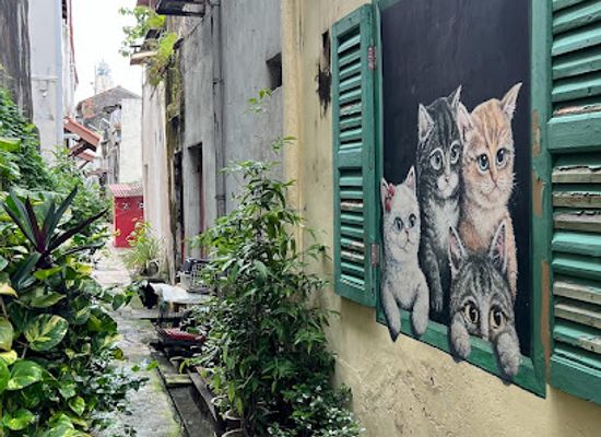 malaysia/george-town/chinatown/landmark/street-art-window-cat