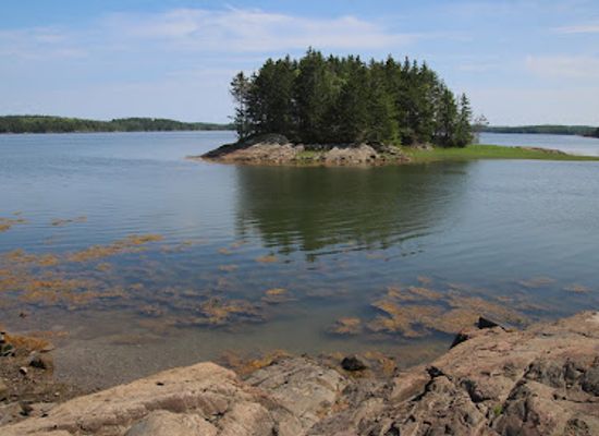 maine/washington-county/landmark/cobscook-bay-state-park