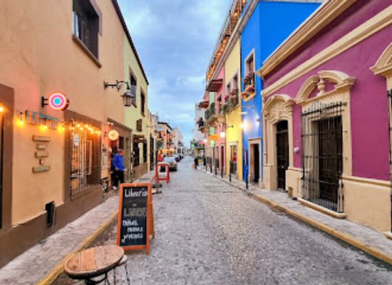 mexico/monterrey/barrio-antiguo/landmark/corredor-del-arte
