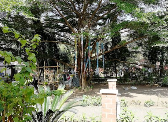 nigeria/owu-forest-reserve/landmark/freedom-park-lagos