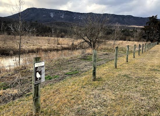 virginia/shenandoah-valley/landmark/white-house