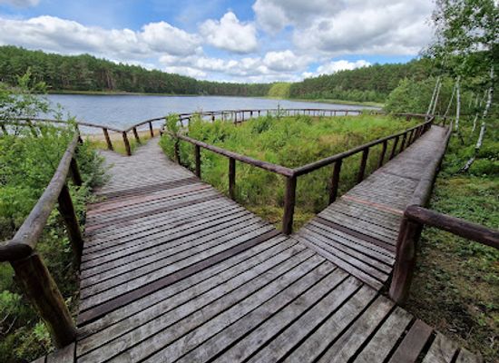 poland/bory-tucholskie/landmark/park-narodowy-bory-tucholskie