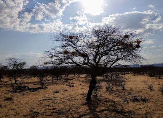 namibia/erongo/landmark/erindi-private-game-reserve