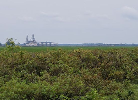 arkansas/delta/landmark/bald-knob-refuge