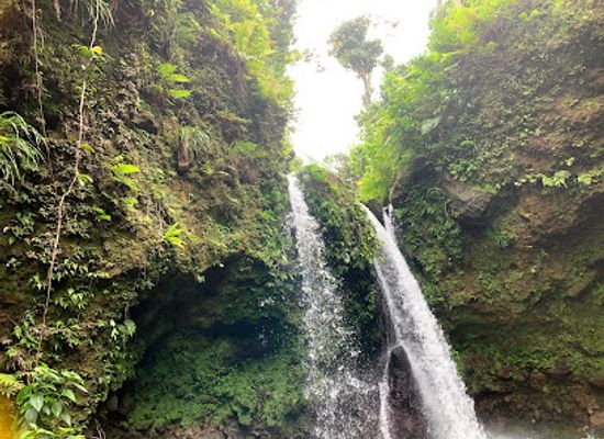 dominica/emerald-pool/landmark/jacko-falls