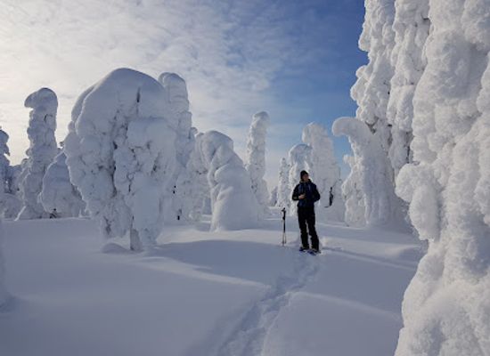 finland/lapland/landmark/munpolku-mytrail