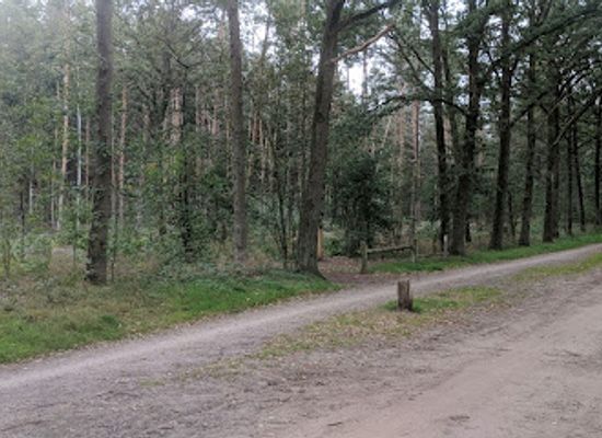 netherlands/overijssel/landmark/janninksbos