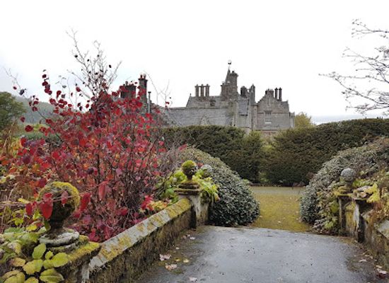 united-kingdom/peeblesshire/attraction/dawyck-botanic-garden-2