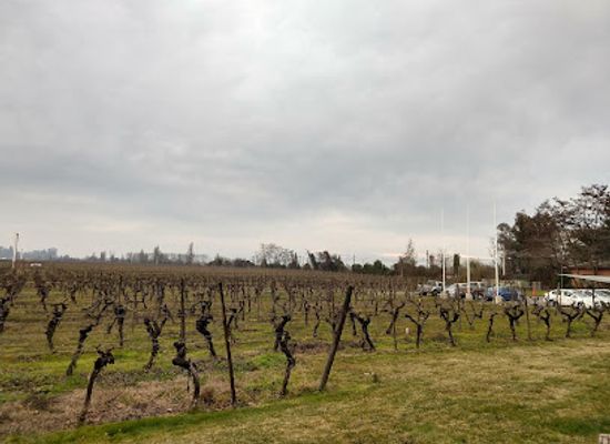 chile/curico/landmark/vina-echeverria