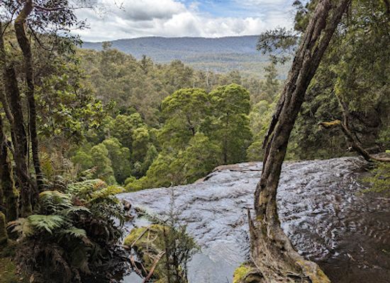 australia/mount-field-national-park/landmark/mount-field-visitor-centre