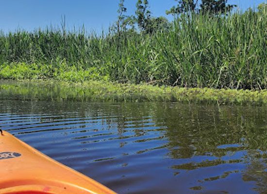 arkansas/pine-bluff/landmark/bayou-bartholomew-river-trail