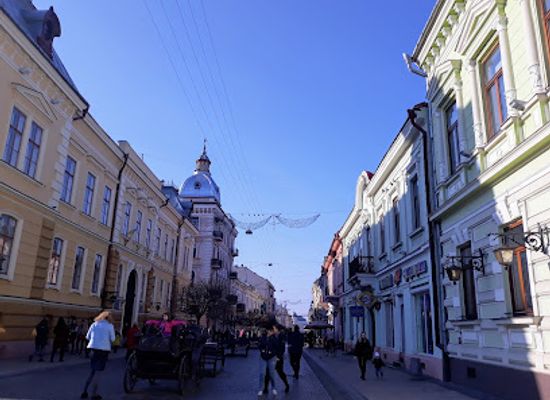 ukraine/chernivtsi/old-town/landmark/bukovynian-diaspora-museum