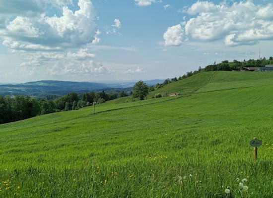 switzerland/swiss-plateau/landmark/in-memoriam-otto-honegger