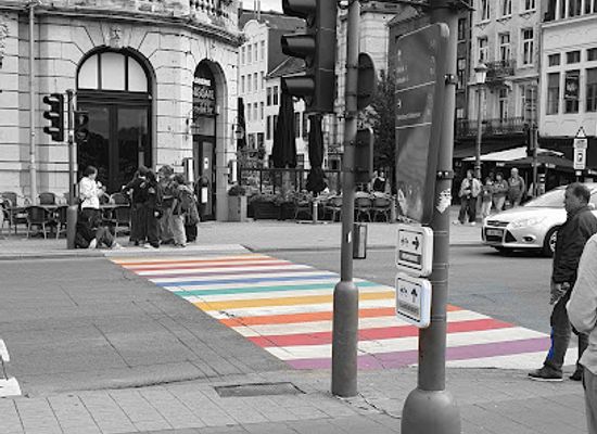 belgium/antwerp/landmark/regenboog-zebra