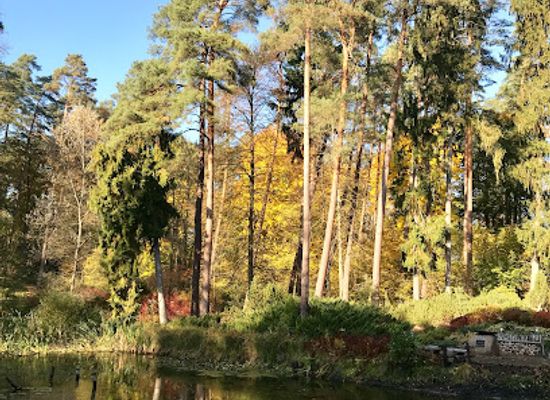 poland/warmia/landmark/forest-arboretum-of-warmia-i-mazur