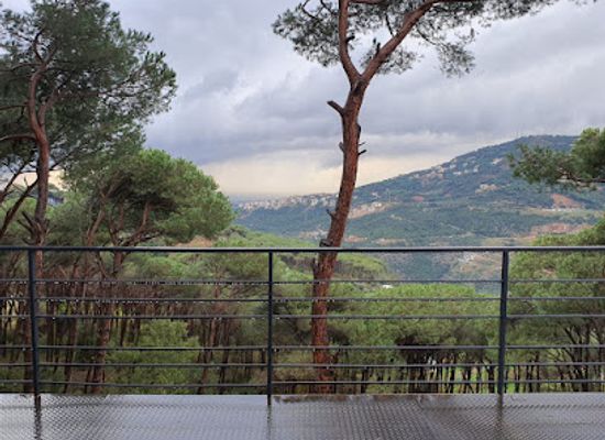 lebanon/mount-lebanon/landmark/the-bungalow