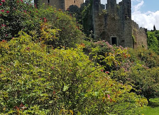 italy/lazio/landmark/the-gardens-of-ninfa