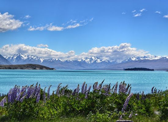 new-zealand/canterbury/landmark/dark-sky-project