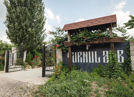 moldova/lapusna-county/landmark/pensiunea-turnul-alb
