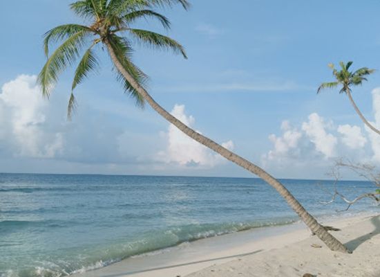 maldives/shaviyani-atoll/landmark/bodumagu-beach