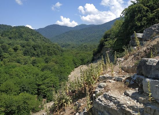 azerbaijan/shaki-zaqatala-region/landmark/zagatala-state-reserve