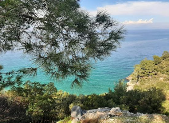 turkiye/kusadasi/guzelcamli/landmark/dilek-yarimadasi-ve-buyuk-menderes-deltasi-milli-parki-gisesi