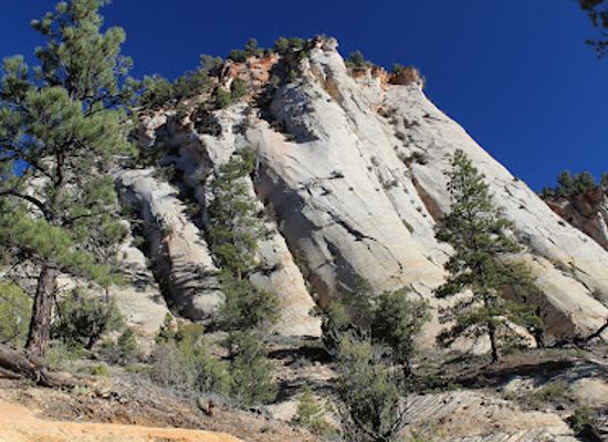 utah/zion-national-park/landmark/east-rim-trailhead