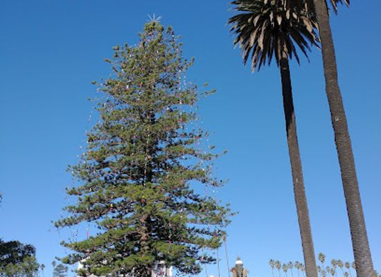 california/oxnard/landmark/downtown-oxnard-farmers-market