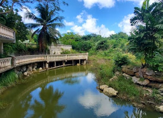 barbados/holetown/landmark/petrea-gardens