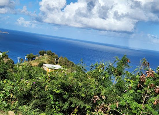 british-virgin-islands/guana-island-hiking-trails/landmark/mount-healthy-national-park