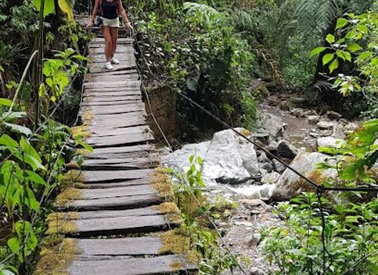 colombia/cocora-valley/landmark/finca-los-portones