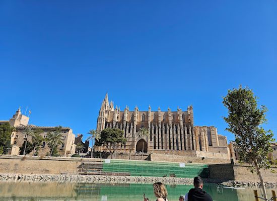 spain/palma-de-mallorca/landmark/basilica-de-sant-miquel-de-palma
