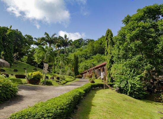 grenada/guava/landmark/belmont-estate