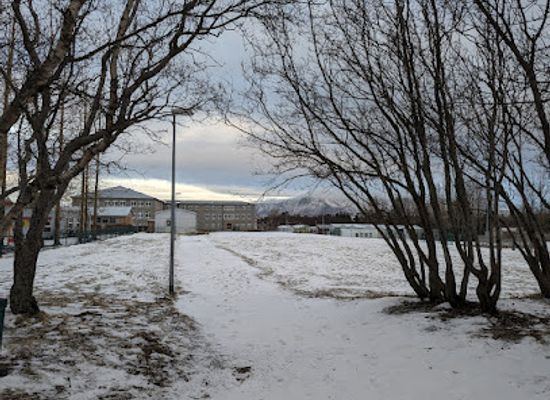iceland/reykjavik/laugardalur/landmark/menntavegurinn