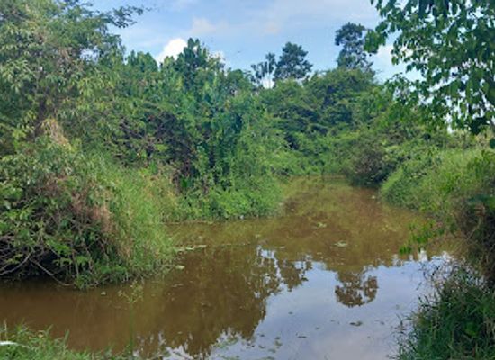 guyana/kanuku-mountains/landmark/guyana-zoo