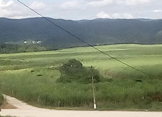 jamaica/santa-cruz-mountains/landmark/appleton-estate-rum-tour