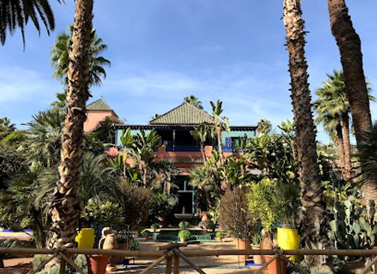 morocco/marrakech/gueliz/landmark/jardin-majorelle