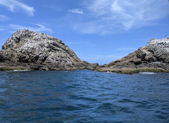 australia/byron-bay/landmark/julian-rocks-nguthungulli-nature-reserve