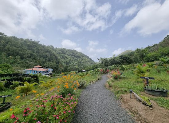 saint-lucia/malgretoute/landmark/project-chocolat