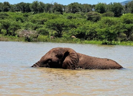 south-africa/elephant-coast/landmark/pongolapoortdam
