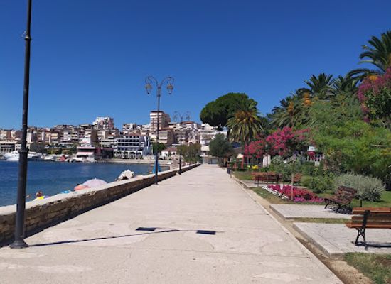 albania/saranda-region/landmark/olive-tree