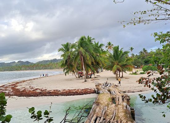 dominican-republic/los-haitises/landmark/andres-el-andariego-de-las-galeras