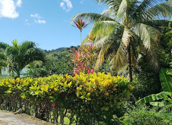grenada/guava/landmark/grenada