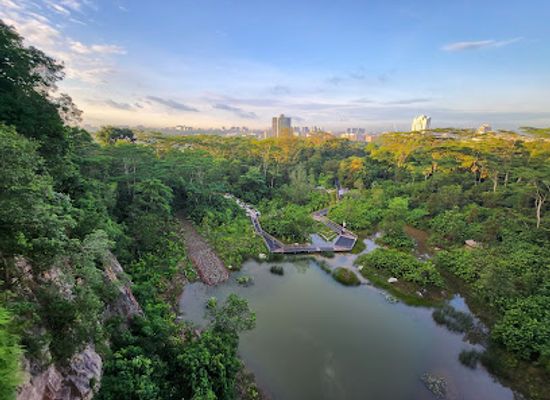 singapore/bukit-timah/landmark/rifle-range-nature-park