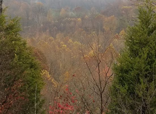 indiana/hoosier-national-forest/landmark/hoosier-national-forest-s-bedford-office