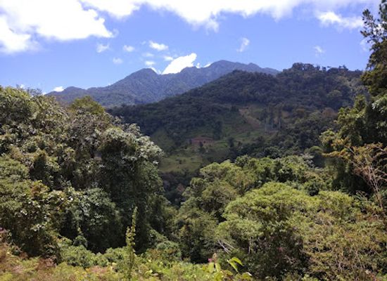 panama/boquete/landmark/the-lost-waterfalls-las-tres-cascadas