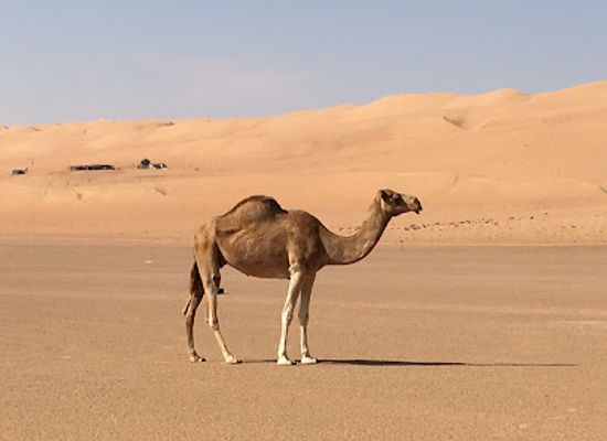 oman/rub-al-khali-desert/landmark/w6-balcony-walk-hike