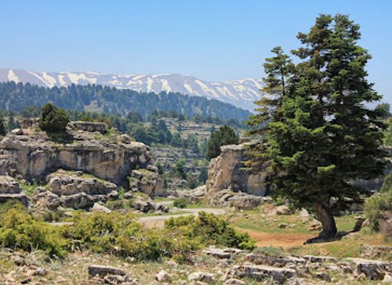 lebanon/akkar/landmark/amou3a